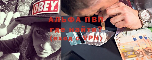 хмурый Алексин