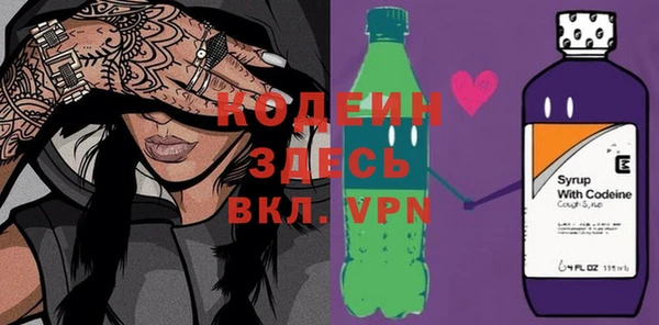 хмурый Алексин